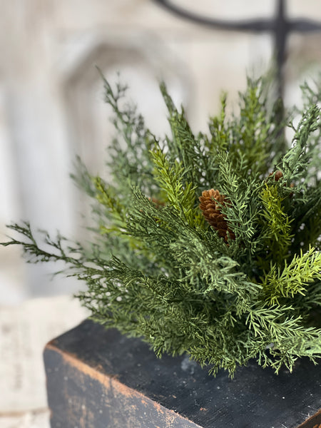 Advent Greens Half Sphere | 11" | SOLD OUT