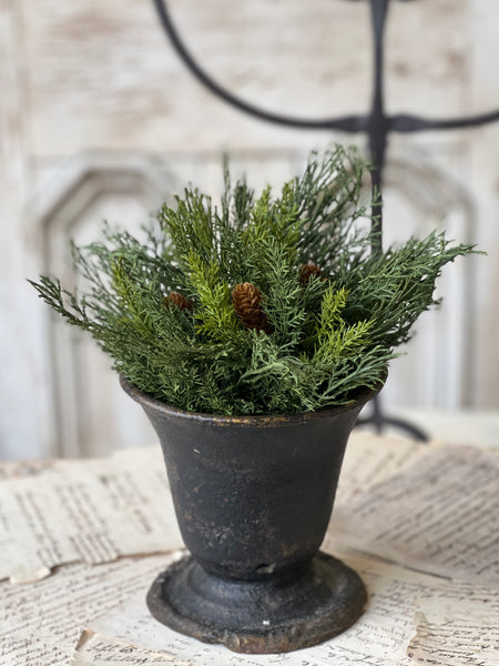 Advent Greens Half Sphere | 11" | SOLD OUT