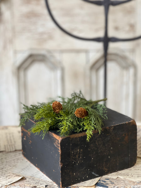 Advent Greens Pick | 14" | SOLD OUT