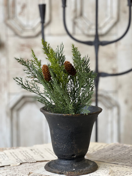 Advent Greens Pick | 14" | SOLD OUT