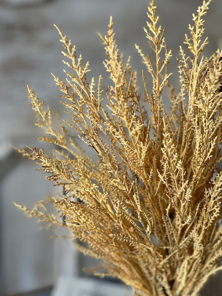 Wildthorn Bush | 19" | Wheat | SOLD OUT