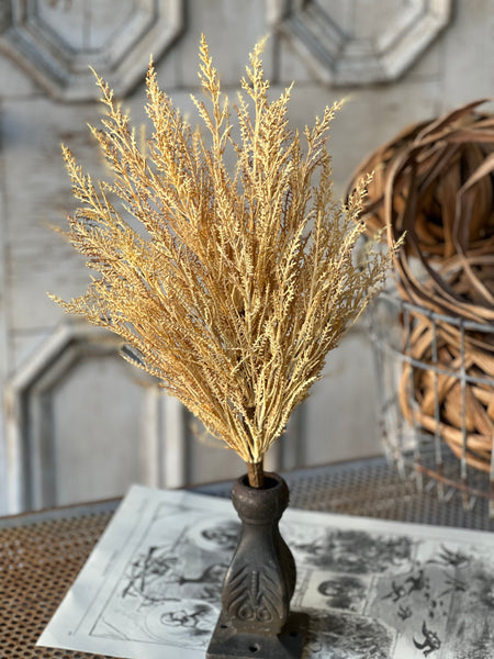 Wildthorn Bush | 19" | Wheat | SOLD OUT