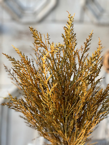 Wildthorn Bush | 19" | Moss | Limited Stock - Last 84pcs!