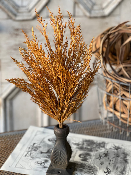 Wildthorn Bush | 19" | Maize | SOLD OUT