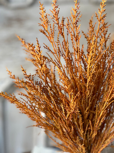 Wildthorn Bush | 19" | Sedona