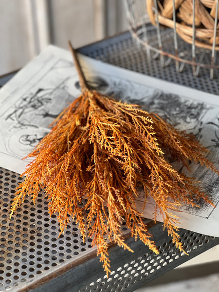 Wildthorn Bush | 19" | Sedona