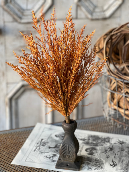 Wildthorn Bush | 19" | Sedona