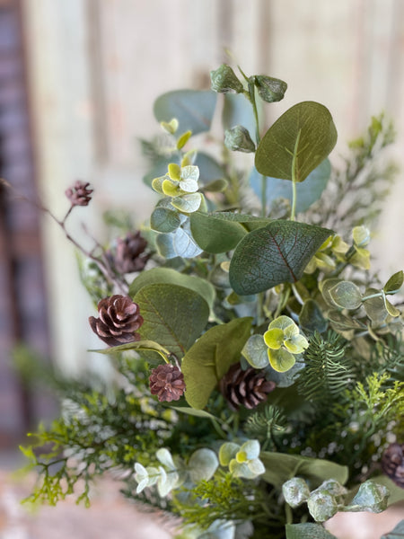 Arbordale Eucalyptus Bush | 20" | SOLD OUT