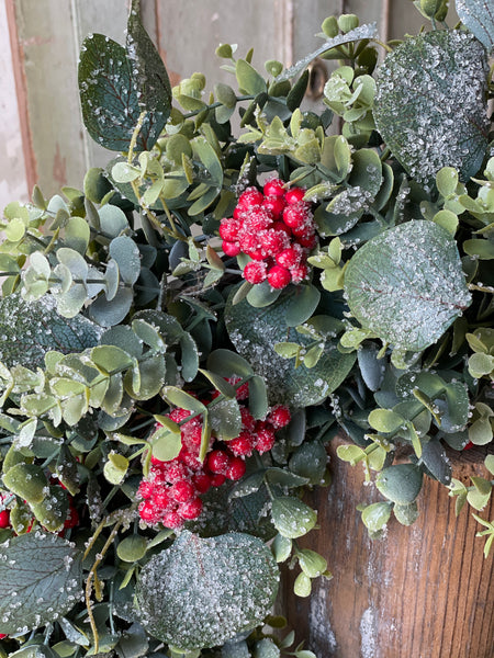 Harlequin Eucalyptus Hanging | 31" | Limited Stock - Last 32pcs!