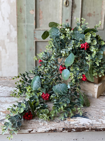 Harlequin Eucalyptus Hanging | 31" | Limited Stock - Last 32pcs!