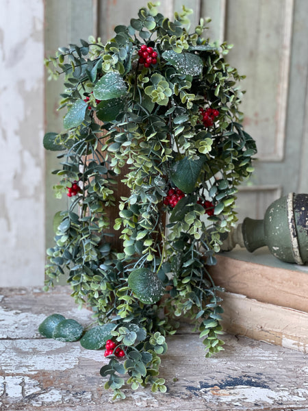 Harlequin Eucalyptus Hanging | 31" | Limited Stock - Last 32pcs!