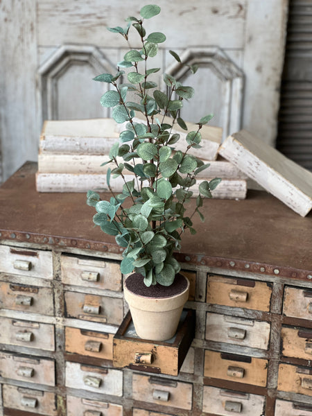 Garden Eucalyptus Tree | 24" | FURTHER REDUCED CLOSEOUT + CLEAN UP SPECIAL!  From $2.95 - Last 332pcs!