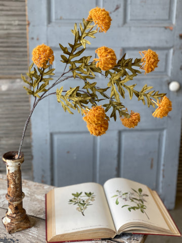 Autumn Aster Spray | 35" | Yellow | SOLD OUT