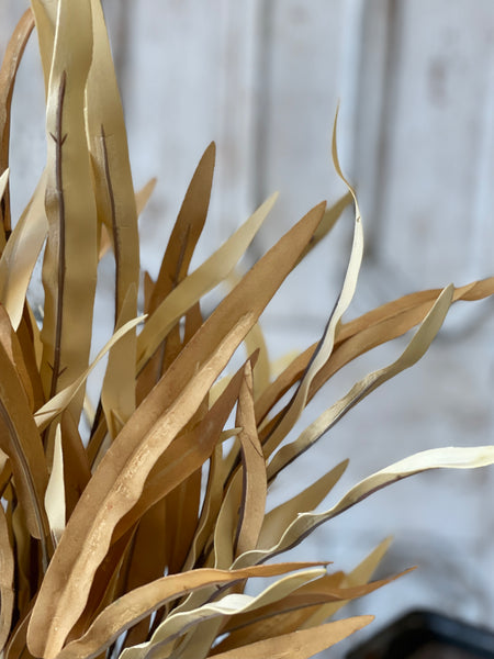 Golden Isles Bush | 32" | Earth | SOLD OUT