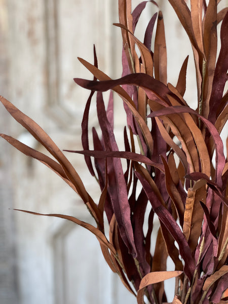 Golden Isles Bush | 32" | Rust | SOLD OUT