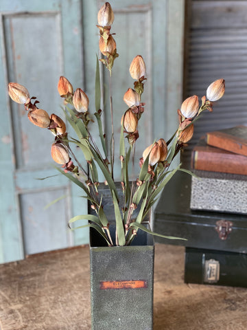 Lantern Buds | Ombre | 23" | SOLD OUT