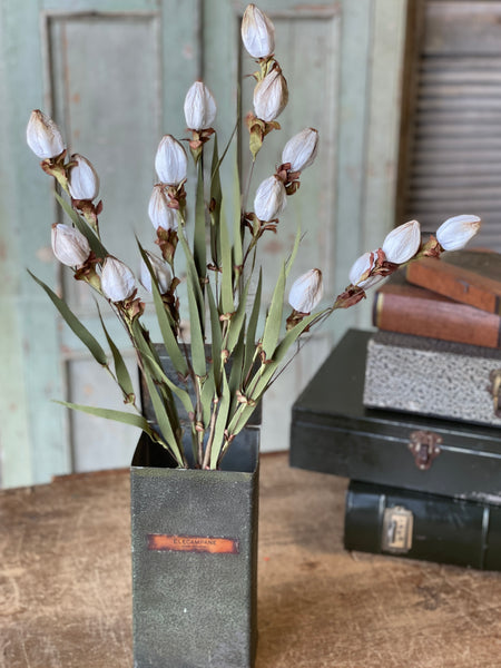 Lantern Buds | Cream | 23" | SOLD OUT