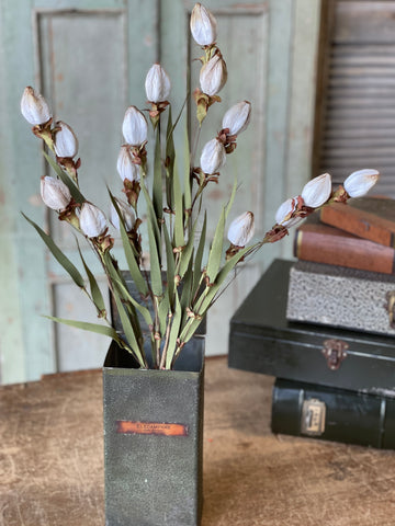 Lantern Buds | Cream | 23" | SOLD OUT