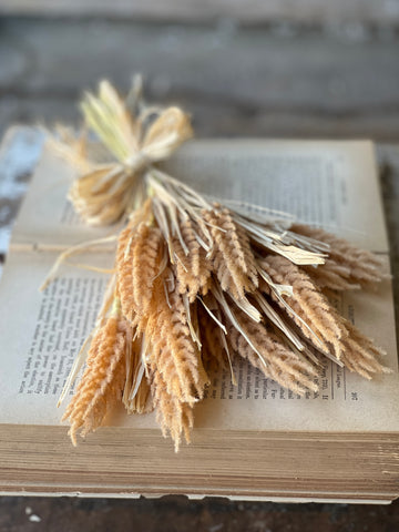 Tassel Grass Bundle | 13.5" | Flaxen | NEW CLOSEOUT + CLEAN UP SPECIAL!  From $1.90 - Last 168pcs!