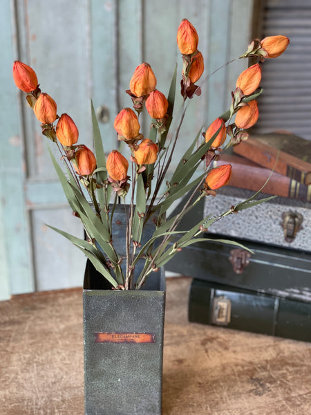 Lantern Buds | Sunset | 23" | SOLD OUT